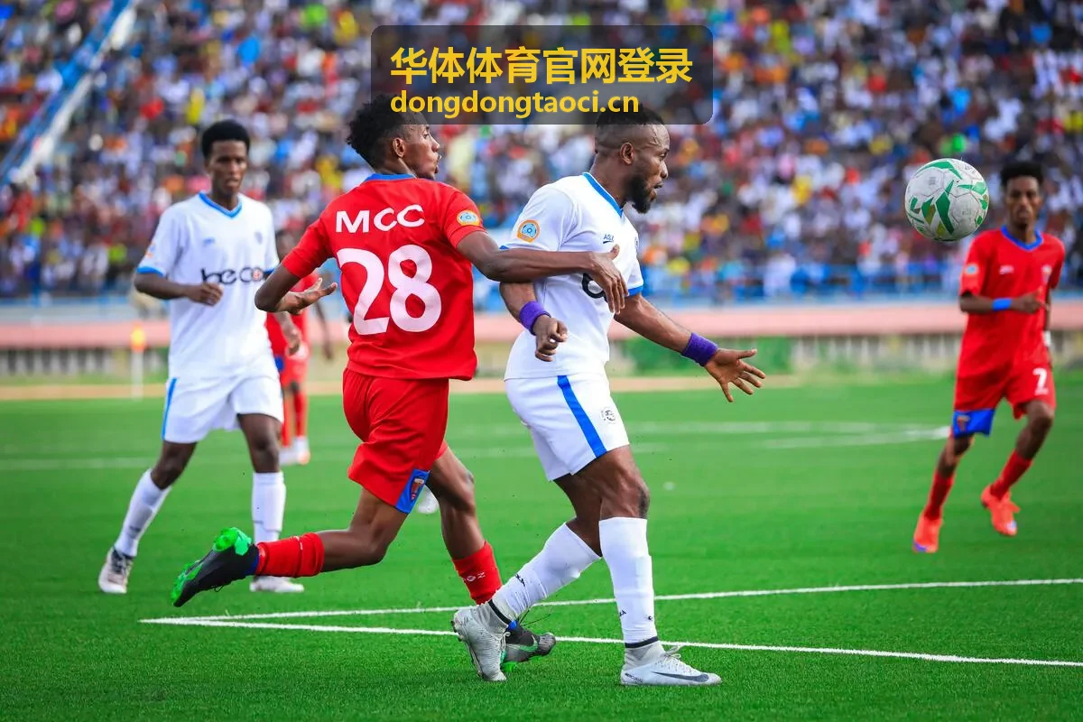 华体体育官网登录赛事现场主场地视觉